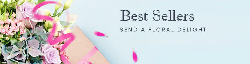 Best Sellers 