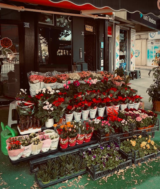 An outdoor display of fresh flowers outside a florist shop, featuring a variety of vibrant blooms arranged in white, red, and pink buckets and pots. The selection includes roses, tulips, and other sea